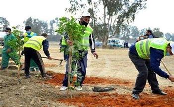 ضمن المبادرة الرئاسية زراعة  شجرة مثمرة بـ;المنتزه ثان; في الإسكندرية