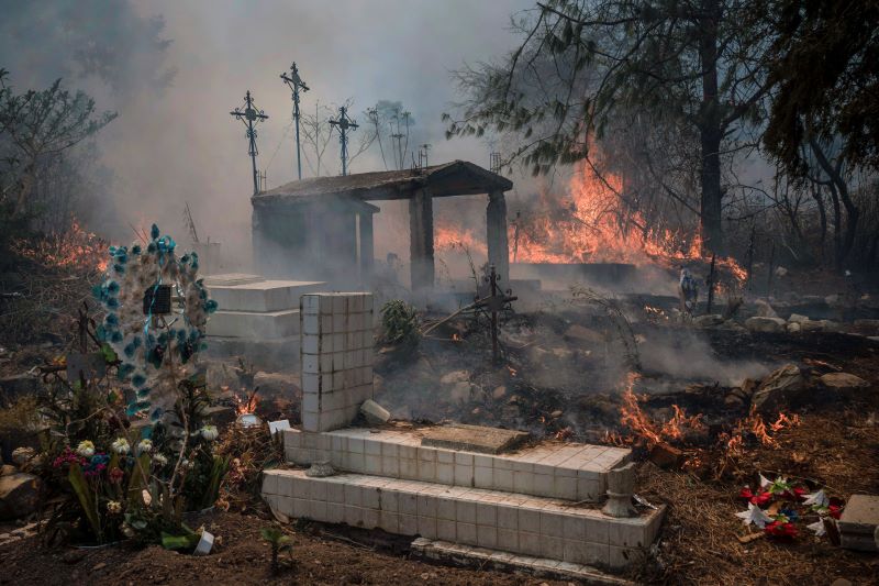  حرائق غابات تجتاح ولاية فيراكروز في المكسيك