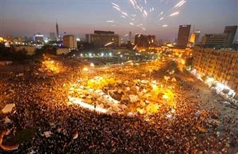 برلماني ثورة  يونيو وحدت كلمة الشعب المصري وأعادت مصر لأهلها