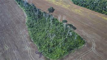 كارثة طبيعية ثلث غابة الأمازون دُمّر بسبب الأنشطة البشرية والجفاف