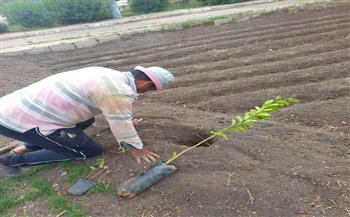   زراعة  شجرة ونبتة ضمن المبادرة الرئاسية بالمنتزه ثان بالإسكندرية