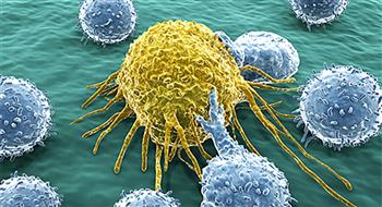   علماء يكتشفون كيفية هروب الخلايا السرطانية من العلاج الكيميائي